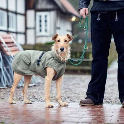 Hunter best sale dog jacket