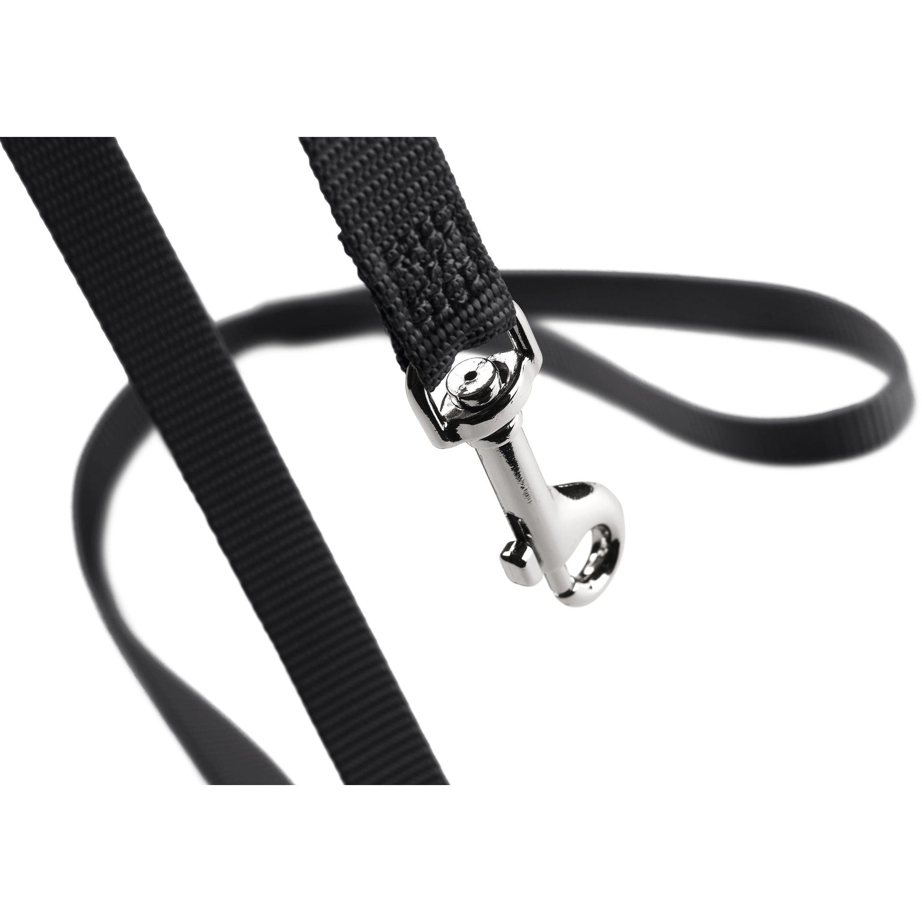 Black leash best sale