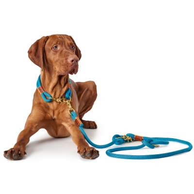 Rope hotsell dog harness